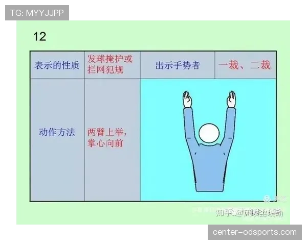 旗示规则有哪些关键点容易被误解？完整拆解裁判信号含义